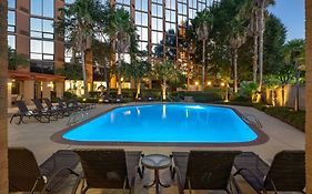 Sheraton Houston Brookhollow Hotel